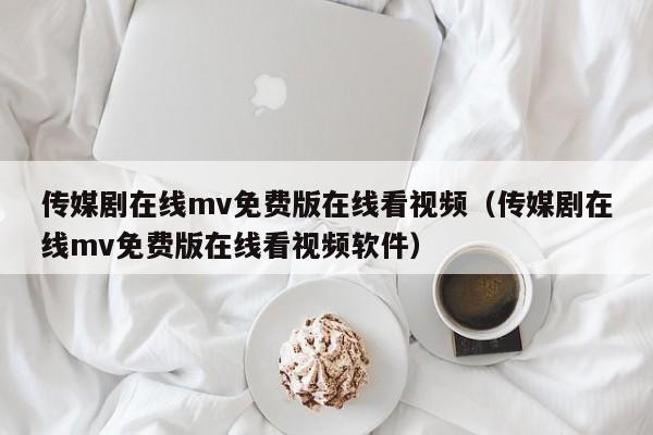 传媒剧在线mv免费版在线看视频（传媒剧在线mv免费版在线看视频软件）